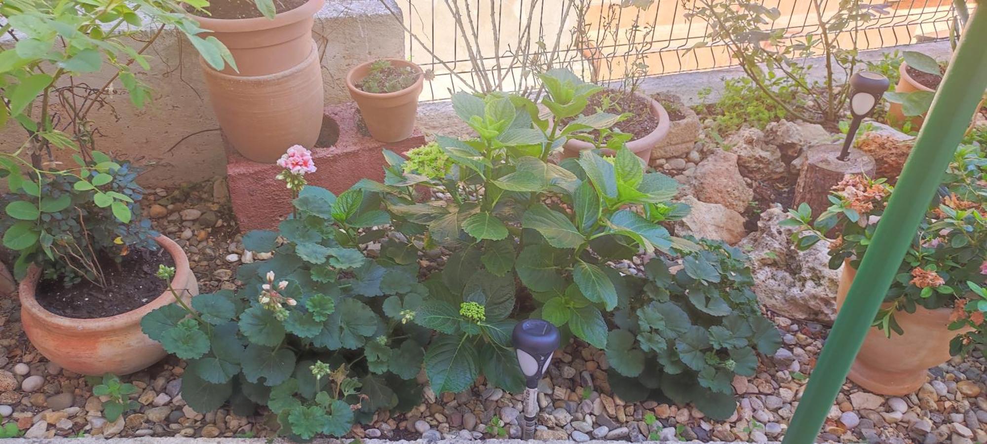 Apartman Campo Šibenik Buitenkant foto